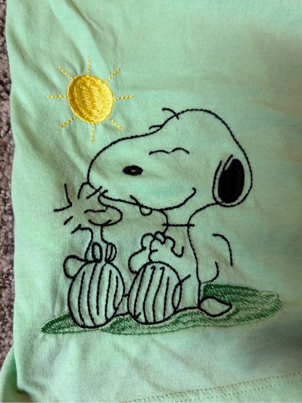 Peanuts Mint Green Snoopy & Woodstock Short Sleeve Tee - Picture 4 of 5